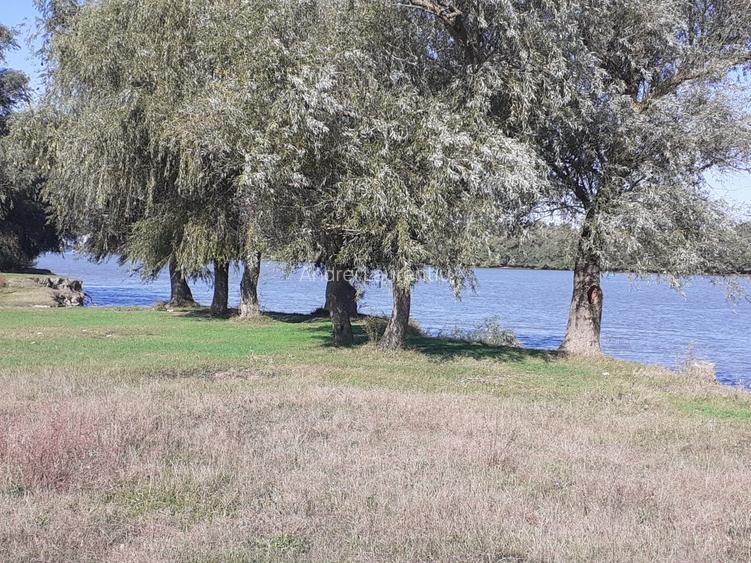 OCAZIE : INTRAVILAN com. MURIGHIOL - 19 euro/m.p. Deschidere Dunare  74 m. - 14