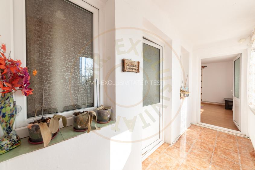 Casa parter + 3.055 mp teren in Costesti - 17