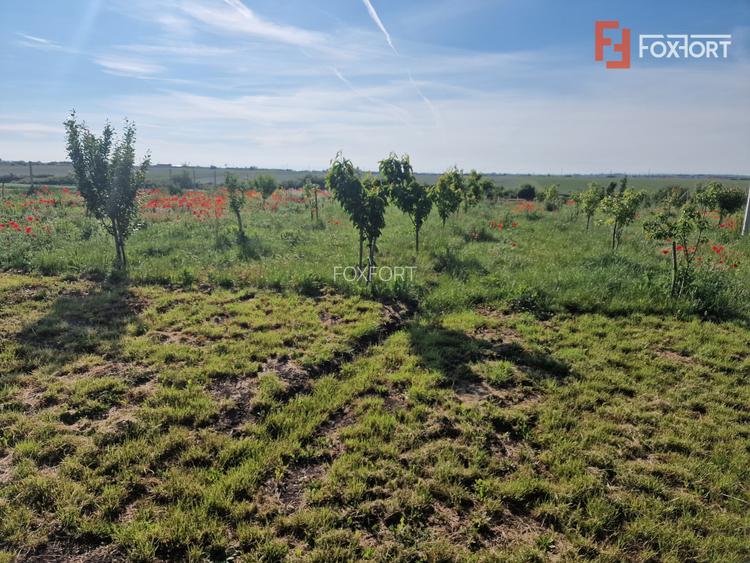 Teren extravilan de 3500 mp de vanzare in Remetea Mare - 3