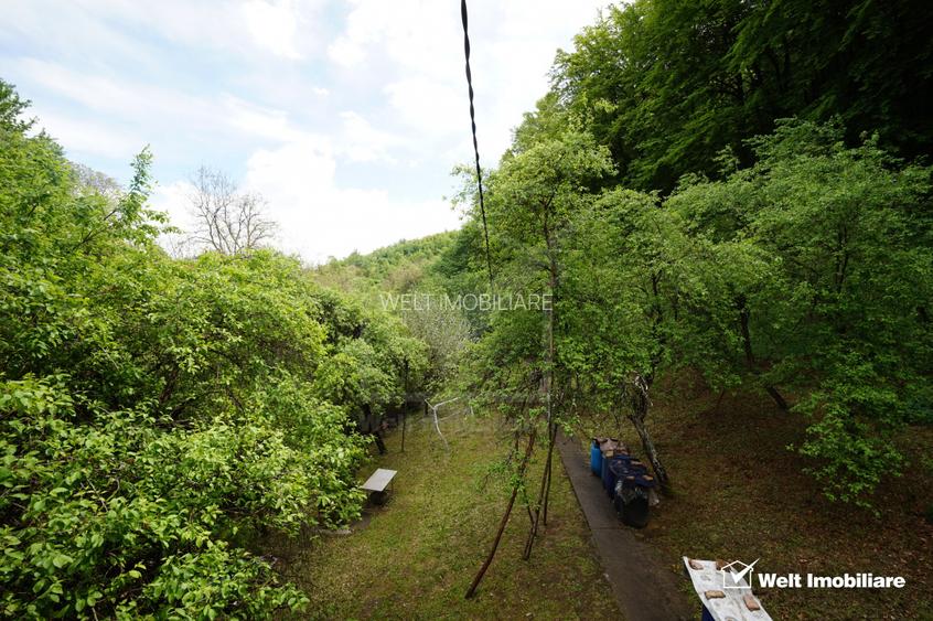 Casă 2010 + teren 4891 mp cu PĂDURE și PÂRÂU | 15 km Cluj | Gaz+Apă+Curent+Canal - 14
