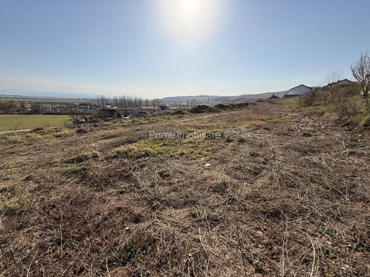 TEREN INTRAVILAN PANORAMIC DE VANZARE 5600 MP, CETATE, ALBA IULIA - 6