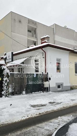 Dorobanti - Floreasca Casa Birouri -Comercial - 4