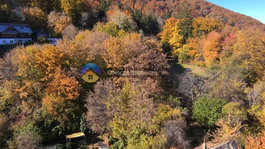 Teren intravilan de vanzare – Piatra Neamt - 5