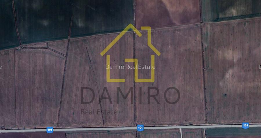 Teren Intravilan 5000 mp Buftea Tamasi - 6