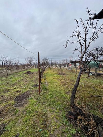 Casa de vanzare zona Sacadat - 7