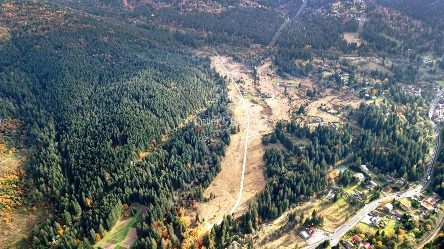 Poiana lui Manole - teren Intravilan - 22