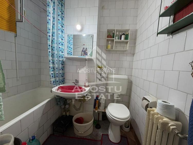 Apartament cu 2 camere, de vanzare, zona Iosefin, Timisoara - 7