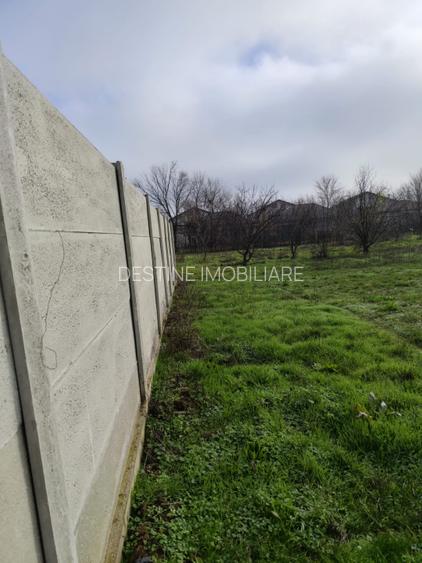 TEREN DE VANZARE DOMNESTI, 600 mp - 4