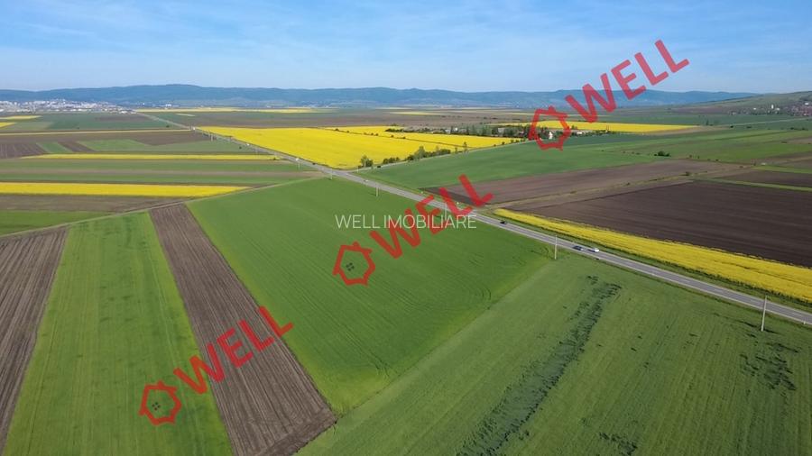 5 terenuri agricole de vânzare în Sântionlunca! - 6