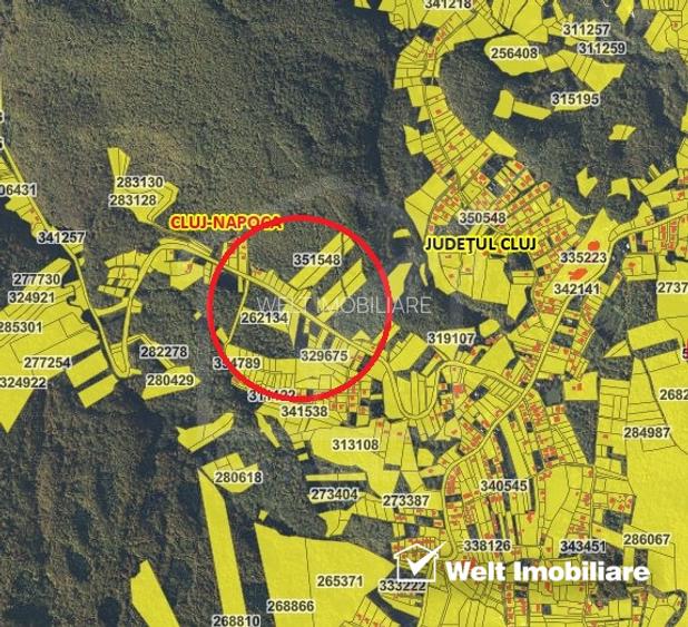 Teren intravilan Cluj-Napoca–perfect pentru pensiuni, camping, sport sau rulote - 2