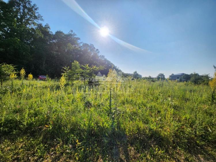 Oportunitate achizitie 2000 mp de teren intravilan - Greenfield - 4