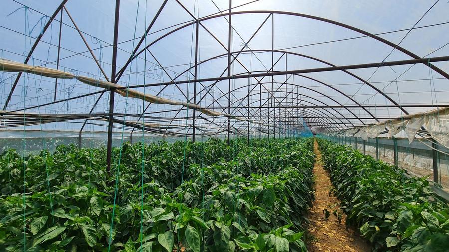 Afacere la cheie! Incasari din prima zi!!! - 2