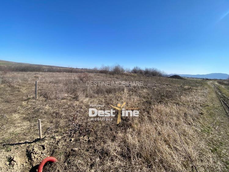 Loturi de Teren Fermelor Strada Plantelor  - 2