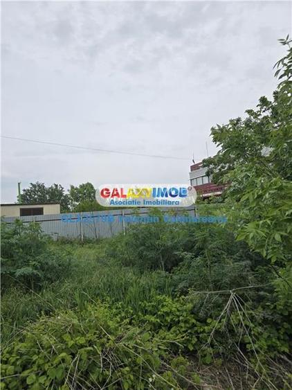 Teren 1 Decembrie VI 011 - 7