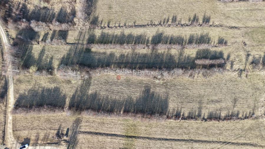 Teren intravilan Bran - Predelut - 45