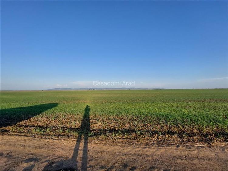 Teren 50 ha compact, pentru balastiera sau parc fotovoltaic, zona Horia - 3