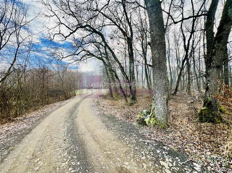 Teren intravilan | 16.100 mp | cartier de case | Cisnadie - 2