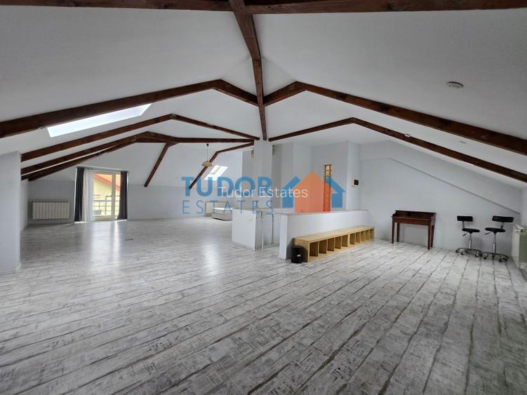 Beautiful Spacious Villa in Iancu Nicolae - 14