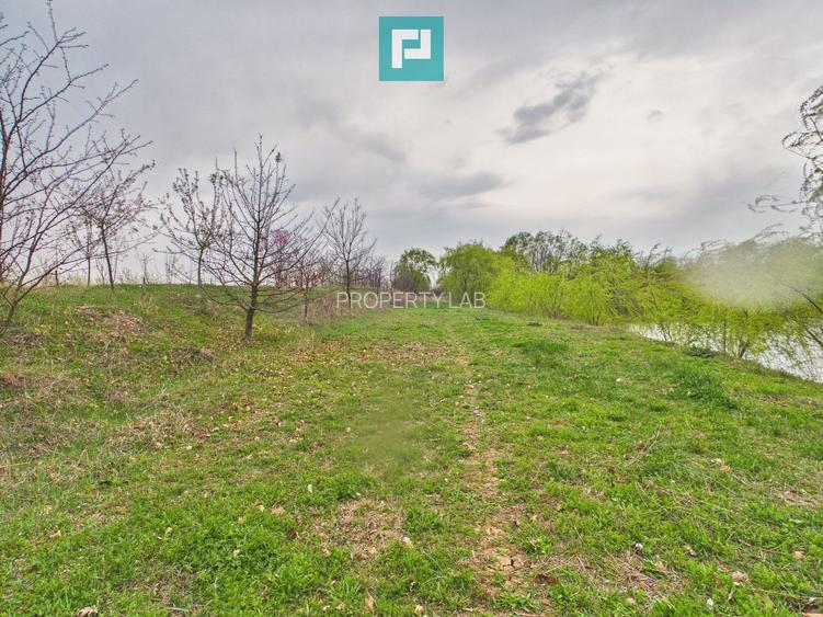 Teren 1 ha cu baltă populată – Alioș (Mașloc) - 5