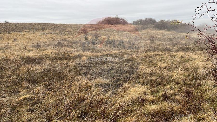 COMISION 0%- Teren 544mp Padureni (Chinteni) / Strada Principala - 5