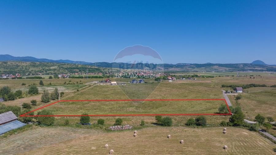 Teren Bran -Sohodol, Strada La mesteceni, 6900mp - 3