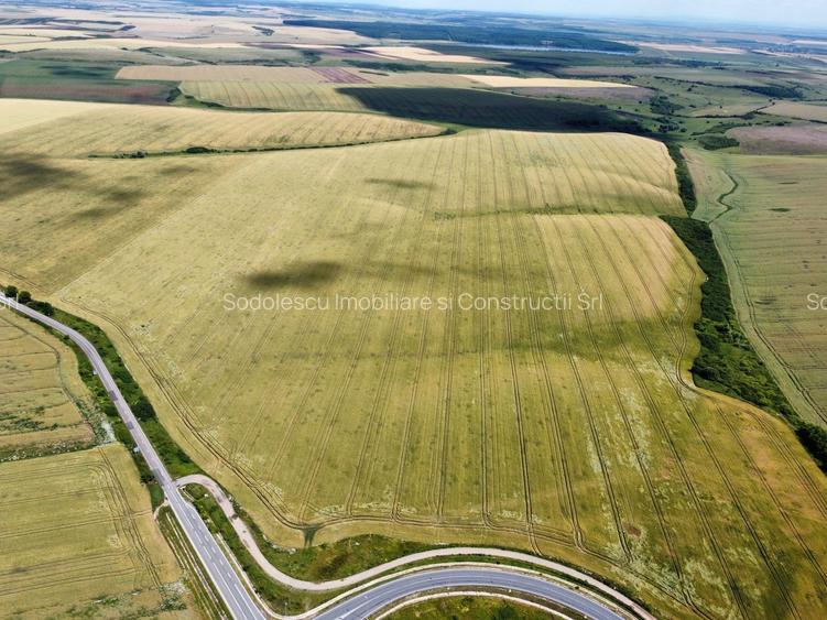Teren la sosea Ortisoara - Autostrada A1 - 19