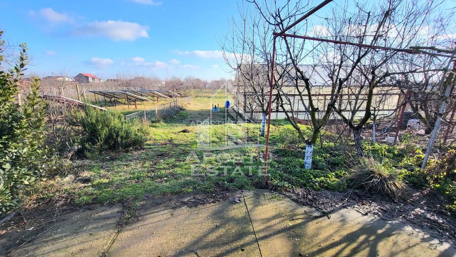 Casa individuala,independenta energetic, 5 camere,teren3783,Peciu Nou - 33