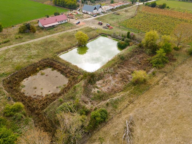 Teren intravilan cu iazuri și casă - Chișineu-Criș - 28