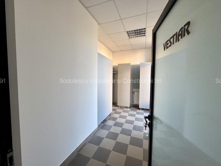 Clădire SAD de închiriat, situată la intrarea în Dumbrăvița - 38