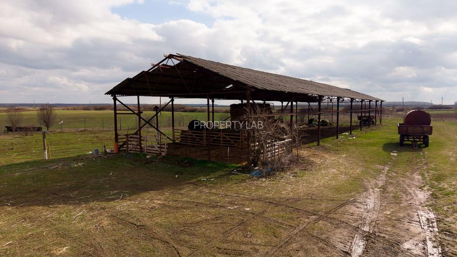 Fermă cu teren intravilan de 35000 mp în Mișca - 25