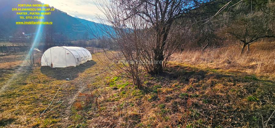Casa+ Anexa+ Teren 6000 mp, la 10 minute de oras, com.Garcina - 9
