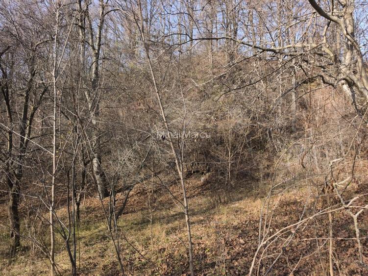 Teren intravilan Breaza 4,000mp utilitati. Panorama superba. Parcelabil - 4