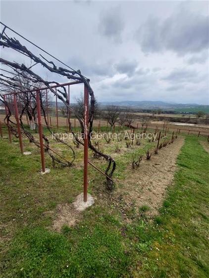 Casa de vanzare cu gradina aproape de Onesti - 10