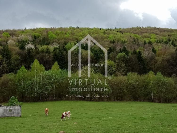 Teren intravilan de vanzare in Tocile, 3862 mp, priveliste spre padure - 6