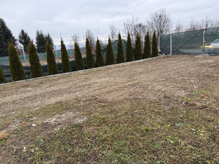 Teren intravilan 1.900 mp * deschidere 25 ml * Valea Avrigului / jud. Sibiu - 4