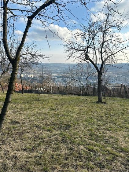 Vand Casa PLATOUL Cornesti str. CORNESTI- teren 1150 mp - 4