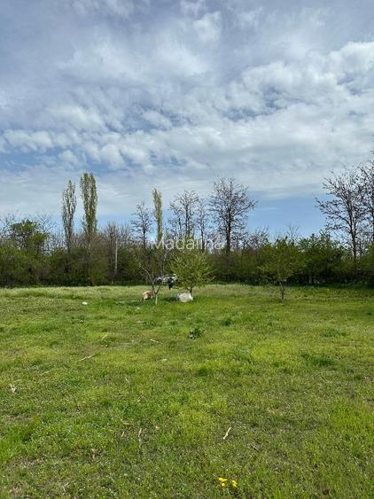 Vând teren intravilan stradal , posibilitate  parcelare  - 11