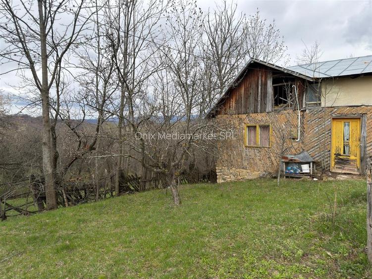 Teren intravilan 1518 mp, constructie, Sotrile, Prahova - 24 EUR/mp - 4