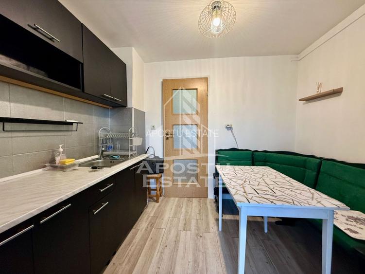 Apartament 2 camere decomandat, etaj 1, centrala, Lipovei Timisoara - 9