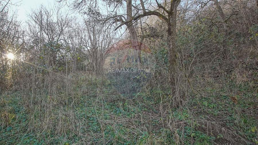 Comision 0! Casă cu teren de 1000mp in inima Brasovului - 11