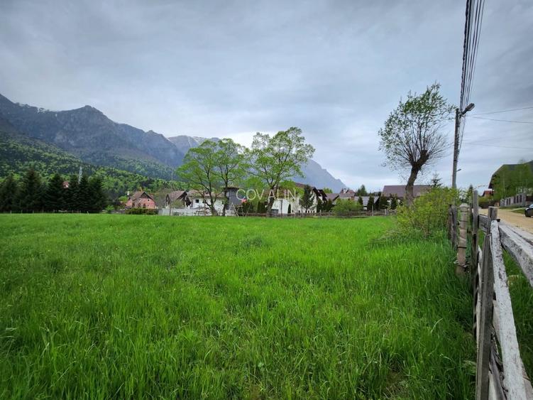 Teren 2.675 mp in Poiana Tapului priveliste peisagistică spre munții Bucegi! - 4