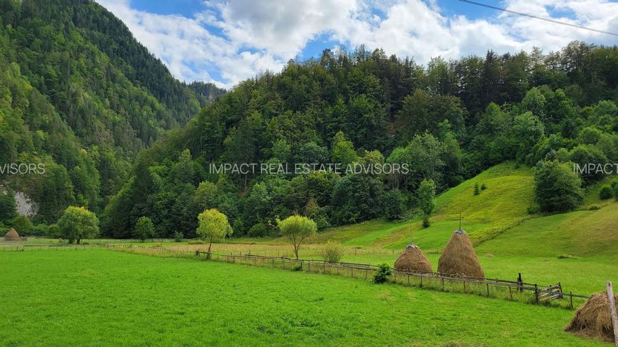 Vila de vacanta | Valea Cheii - 15