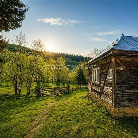 Teren la poalele padurii,Buzaiel,Vama Buzaului,DJ,constructie +utilitati,Brasov - 8