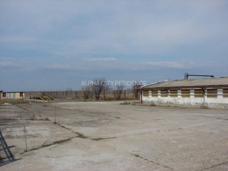 Hala pt depozitare 1200mp in Remetea Mare! Acces TIR - la sosea - 8