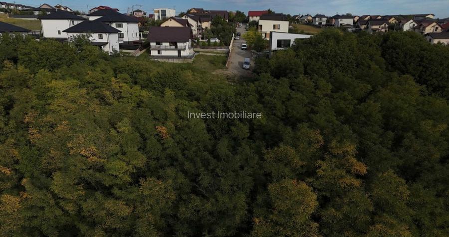 Casa P+1 cu PADURE Valea Lupului-Iasi - 4