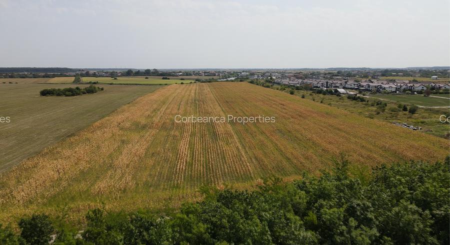 Oportunitate Investitie Teren 5.4HA  Deschidere la Lac, Padure, Paradisul Verde - 7
