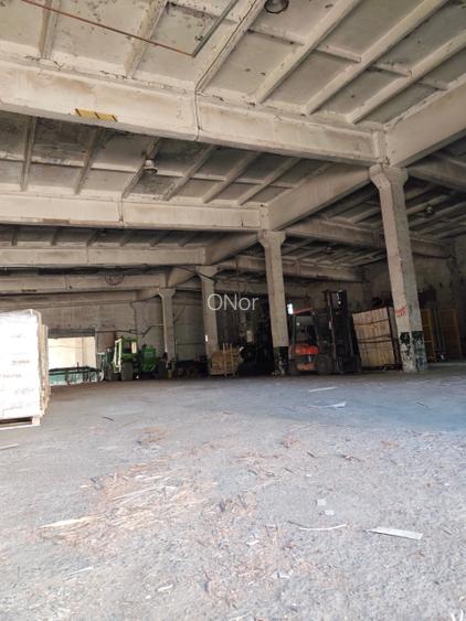 Teren+Hala Soseaua Bacaului-Vaslui 22.000mp - 4