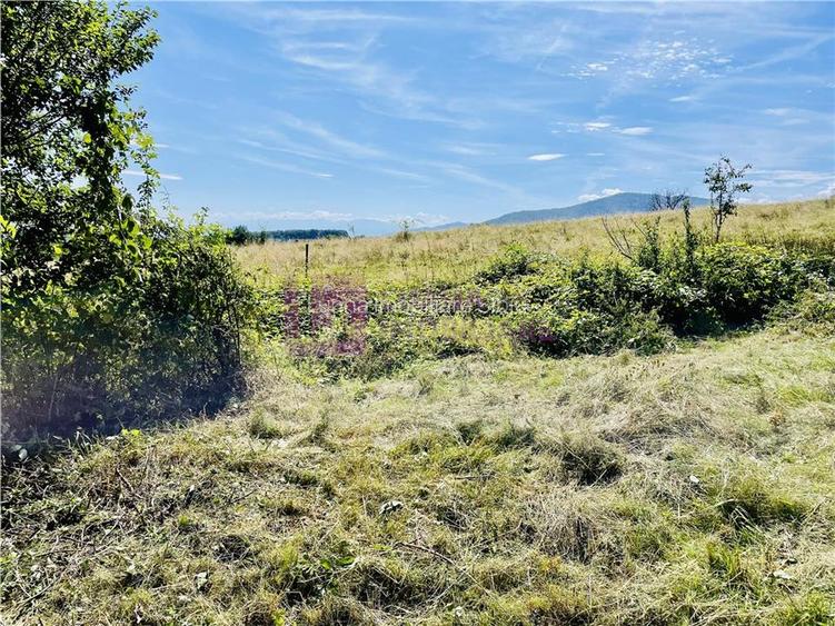 Teren 3581 mp | Marginimea Sibiului | priveliste superba - 9