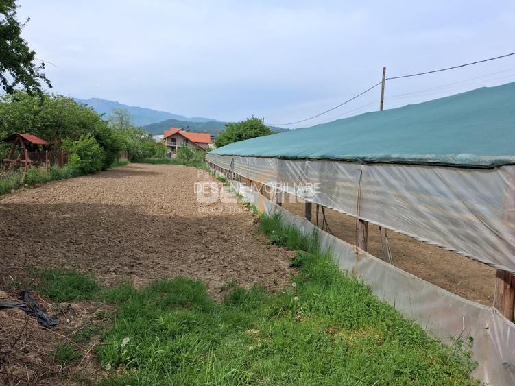Loturi teren intravilan în Dăești, cu utilități complete, solar și garaj - 5