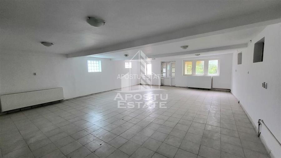 Casa ideala pentru birouri/alte activitati Mehala - 3